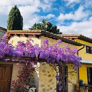 Vakantiehuis Il Cortile Delle Rose House